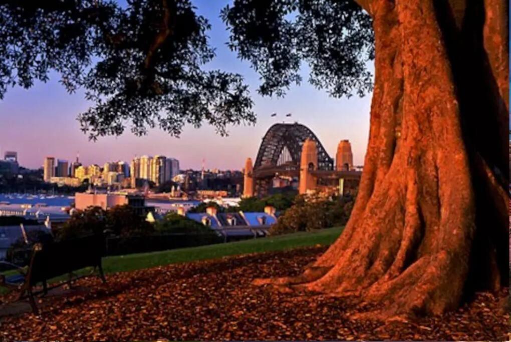 The Views - Uninterrupted Harbour Bridge Apartment Sydney